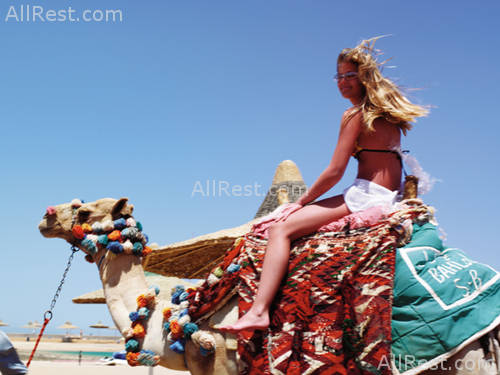 Grand Rotana Resort & Spa 24